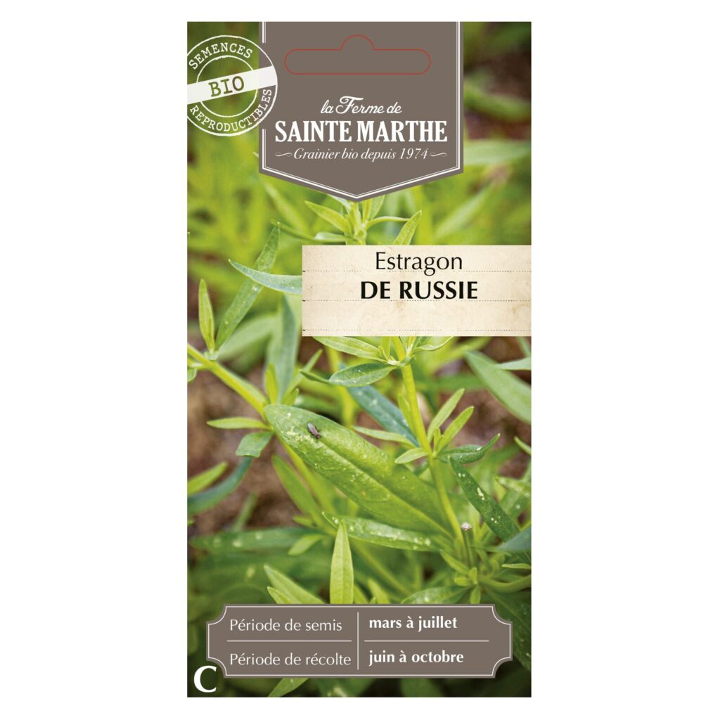 Estragon de Russie - 250 graines bio — sachet recto