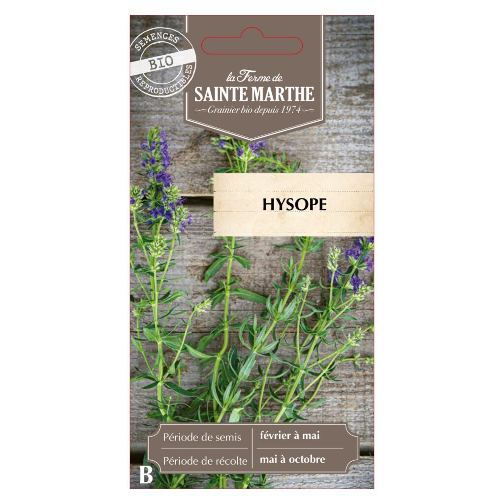 Hysope - 500 graines bio — sachet recto