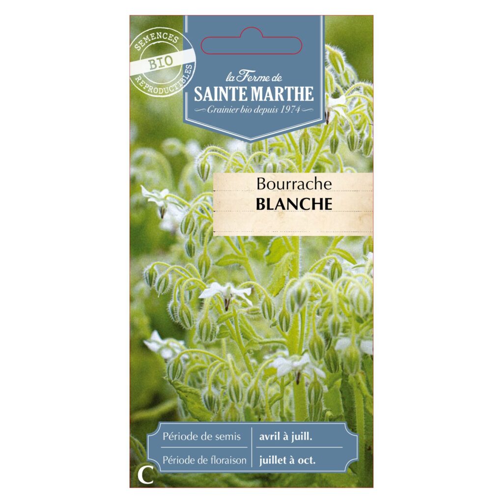 Bourrache Blanche - 50 graines bio — sachet recto