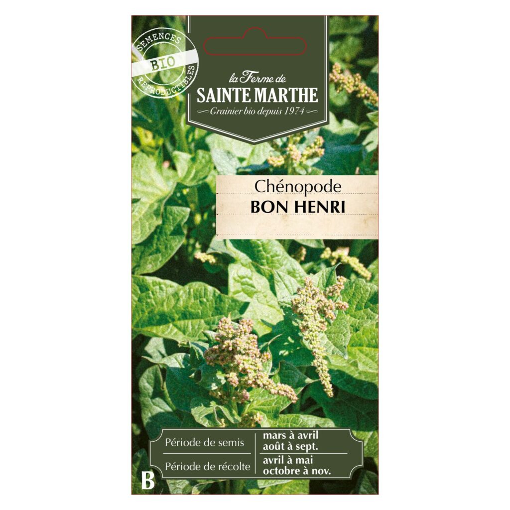 CHENOPODE Bon Henri - 100 graines BIO — sachet recto