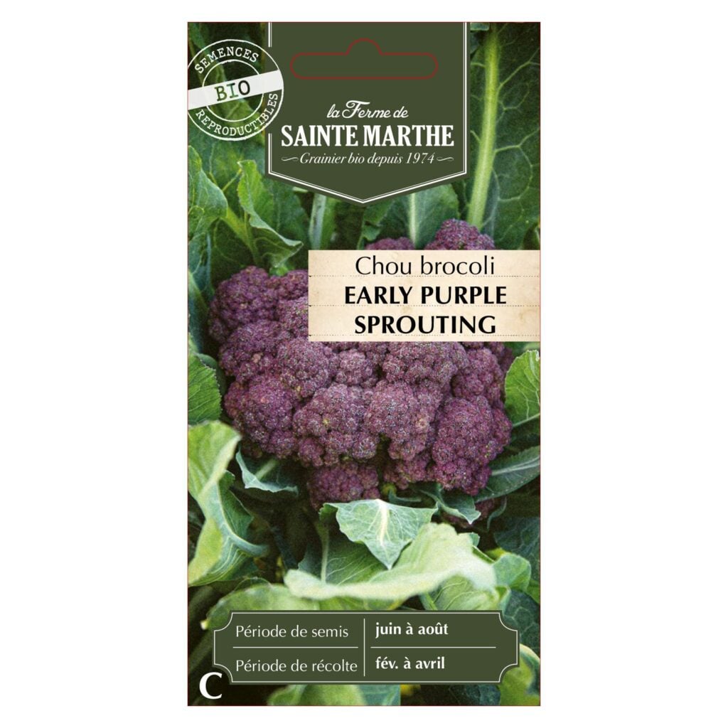 CHOU BROCOLI Early Purple Sprouting - 50 graines bio — sachet recto