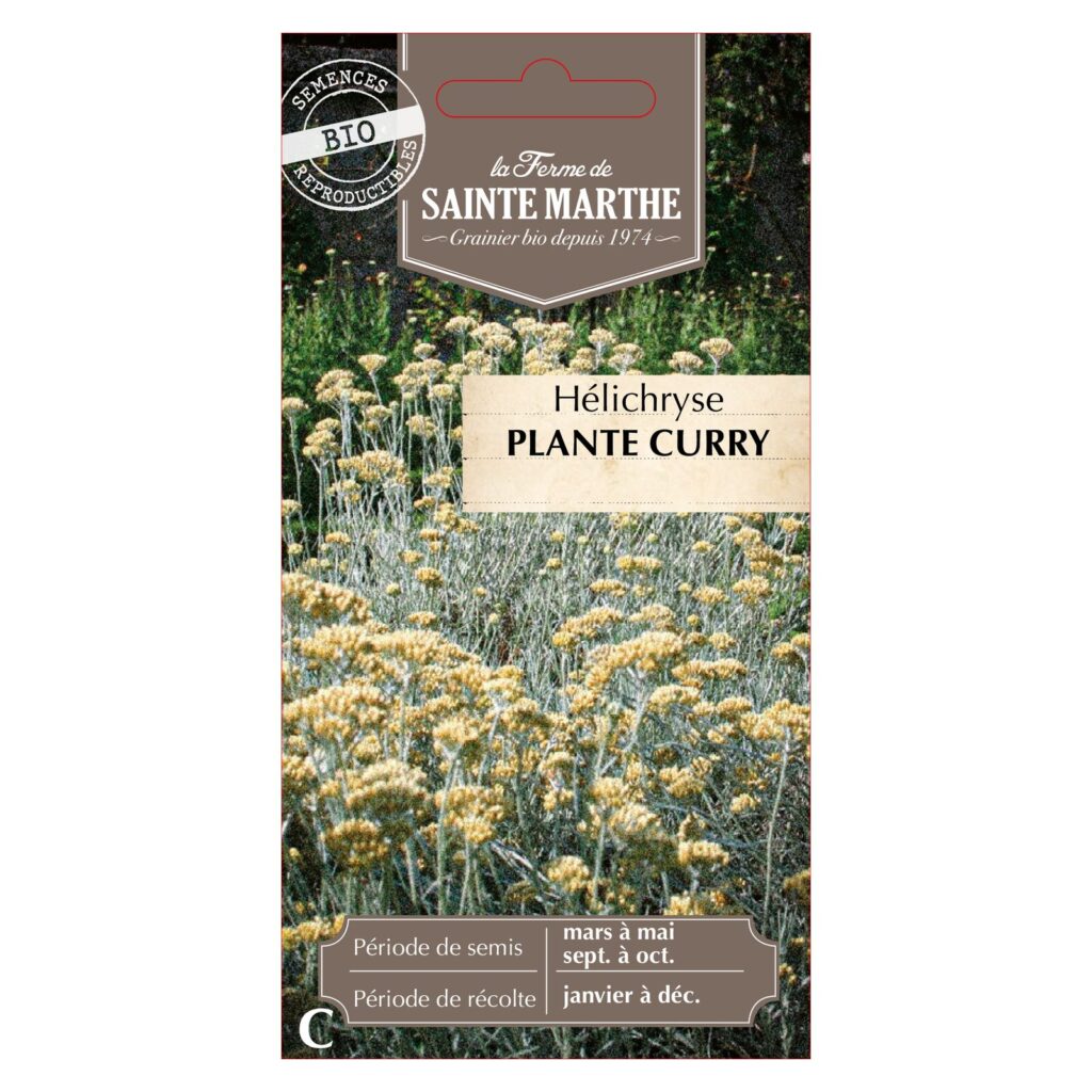 HELICHRYSE Plante Curry - 250 graines bio — sachet recto