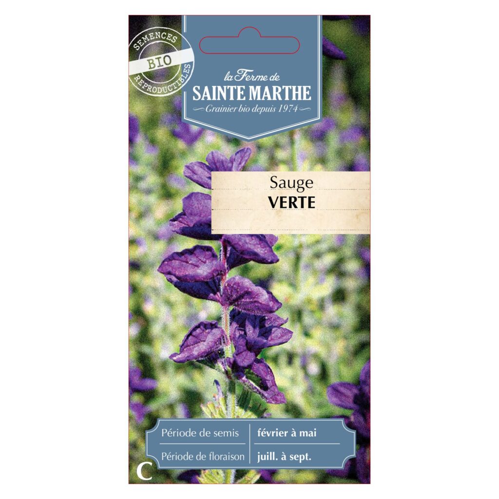 SAUGE Verte - 100 graines bio — sachet recto