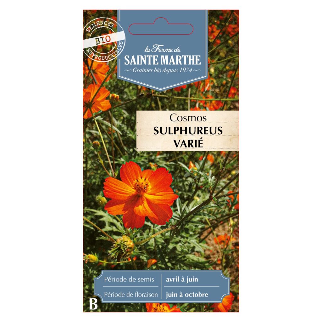 COSMOS Sulphureus Varié - 120 graines bio — sachet recto