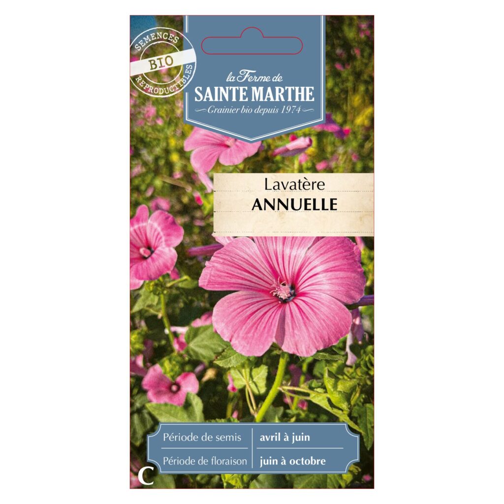 LAVATÈRE Annuel - 500 graines - Fleurs rose et blanc bio — sachet recto