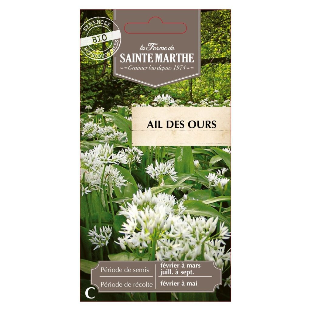 Ail des Ours - 50 graines bio — sachet recto