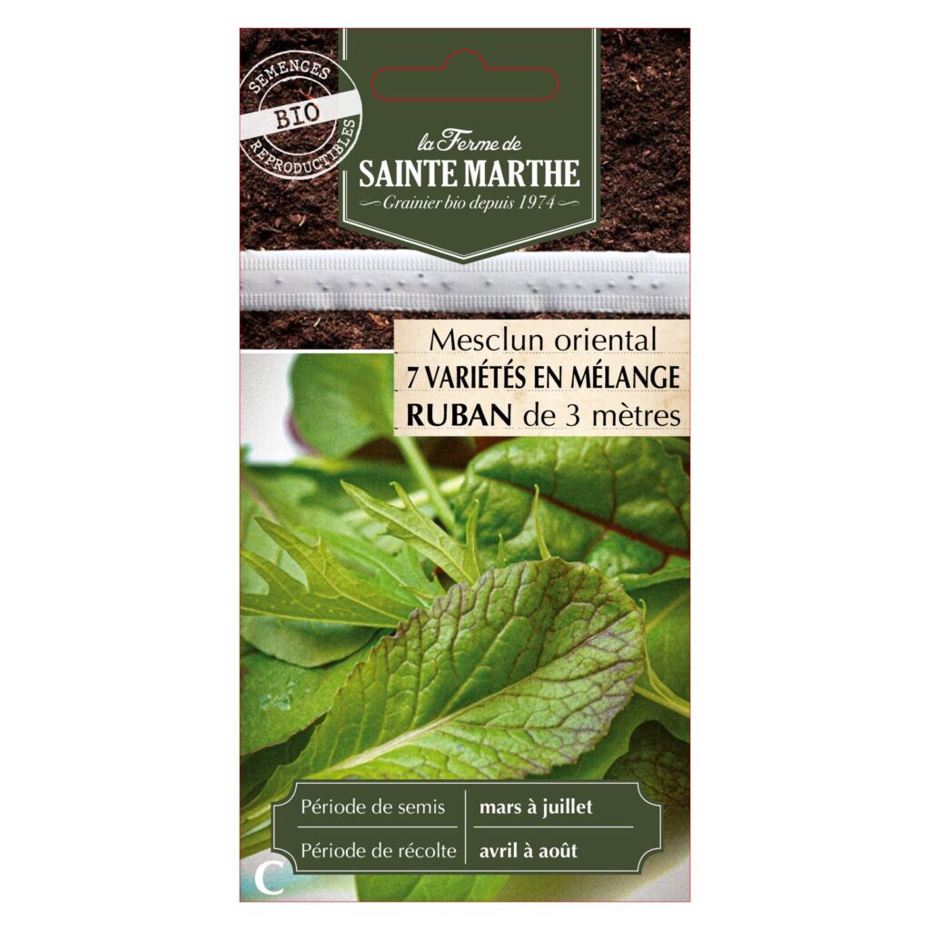 MESCLUN Oriental - 300 graines bio — sachet recto