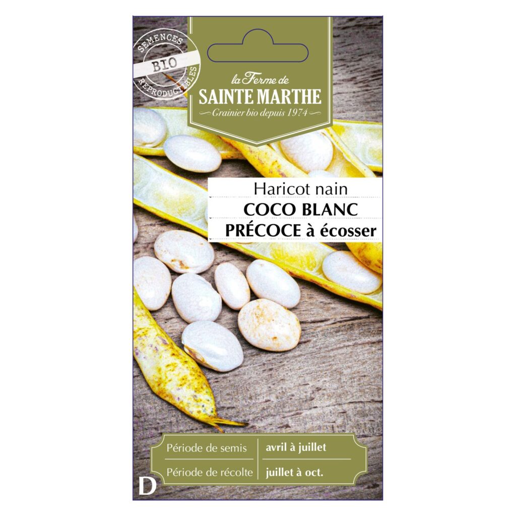 HARICOT NAIN Coco Blanc Précoce à Ecosser - env.145 graines bio — sachet recto