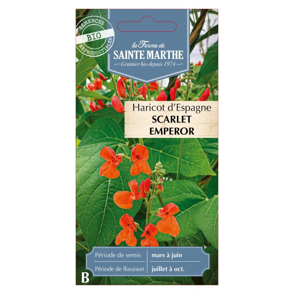 HARICOT D'ESPAGNE Scarlet Emperor - 10 graines BIO — sachet recto