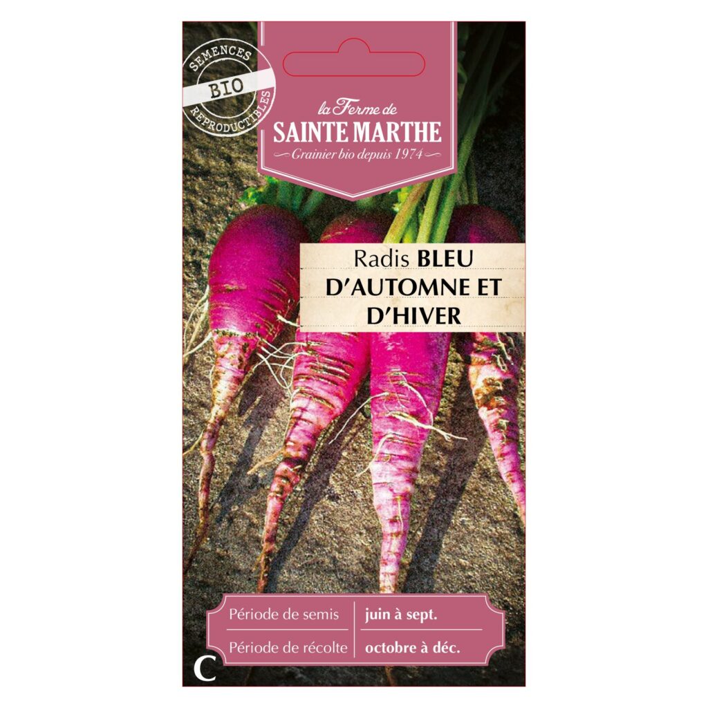 RADIS Bleu d'Automne et d'Hiver - 300 graines BIO — sachet recto