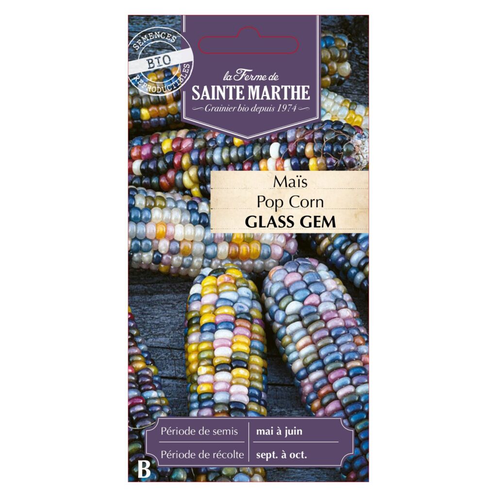 MAÏS POP CORN Glass Gem - 50 graines BIO — sachet recto