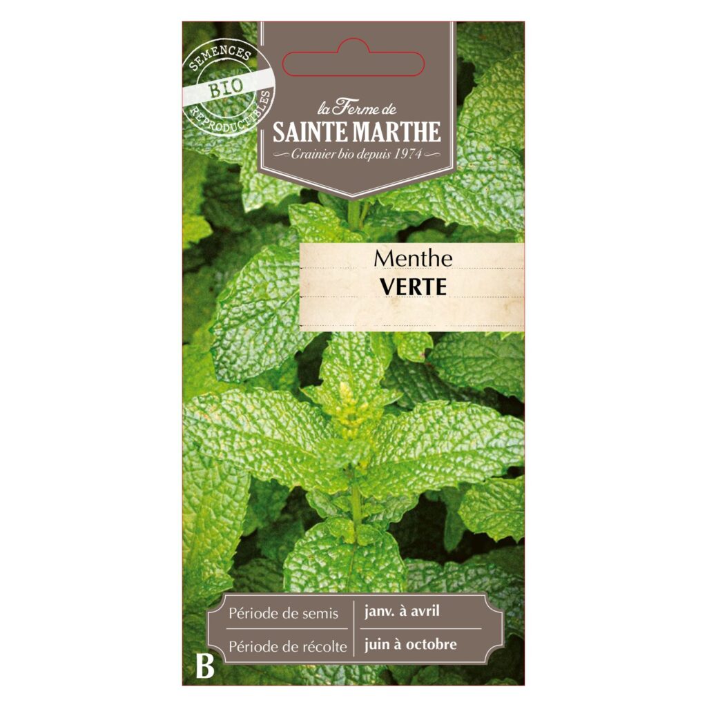 Menthe Verte - 500 graines bio — sachet recto