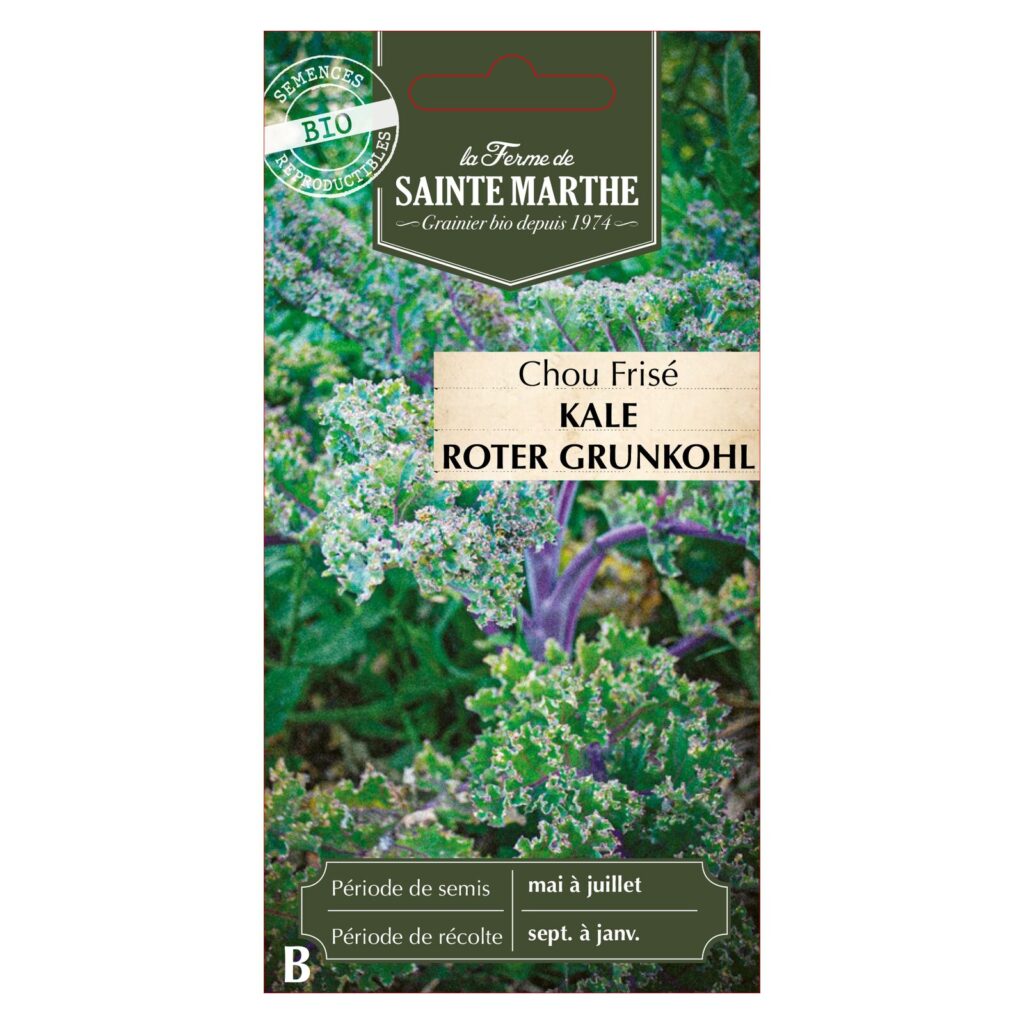 CHOU FRISE Kale Roter Grunkohl - 200 graines bio — sachet recto