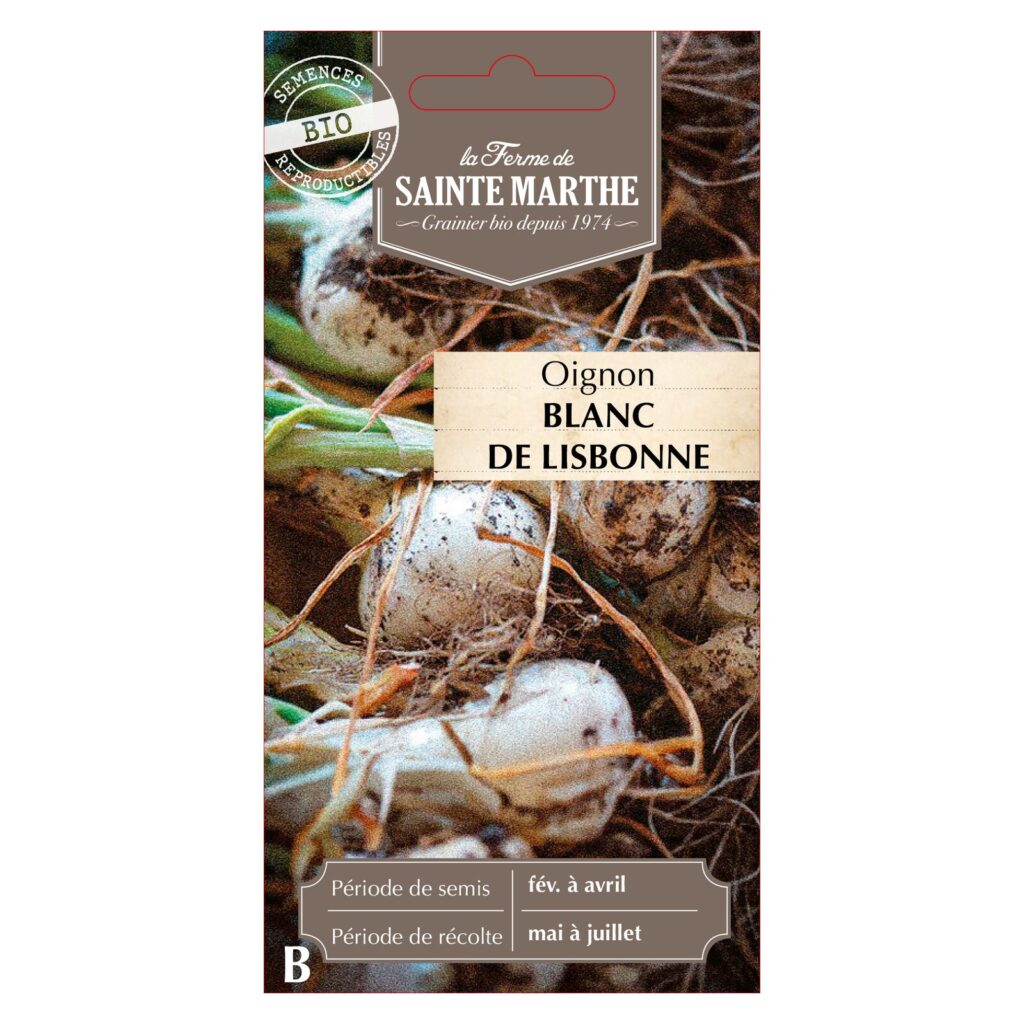 Oignon Blanc de Lisbonne - 250 graines bio — sachet recto