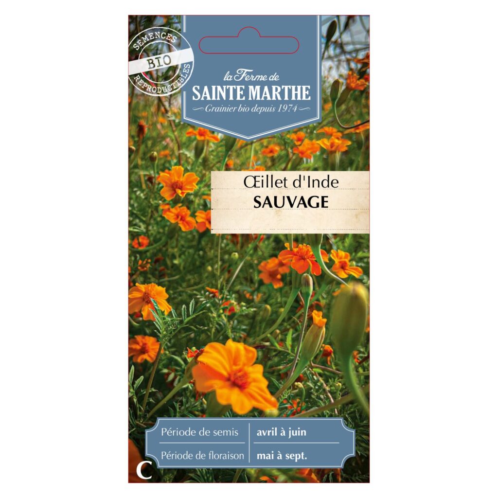 ŒILLET D'INDE Sauvage - 250 graines bio — sachet recto