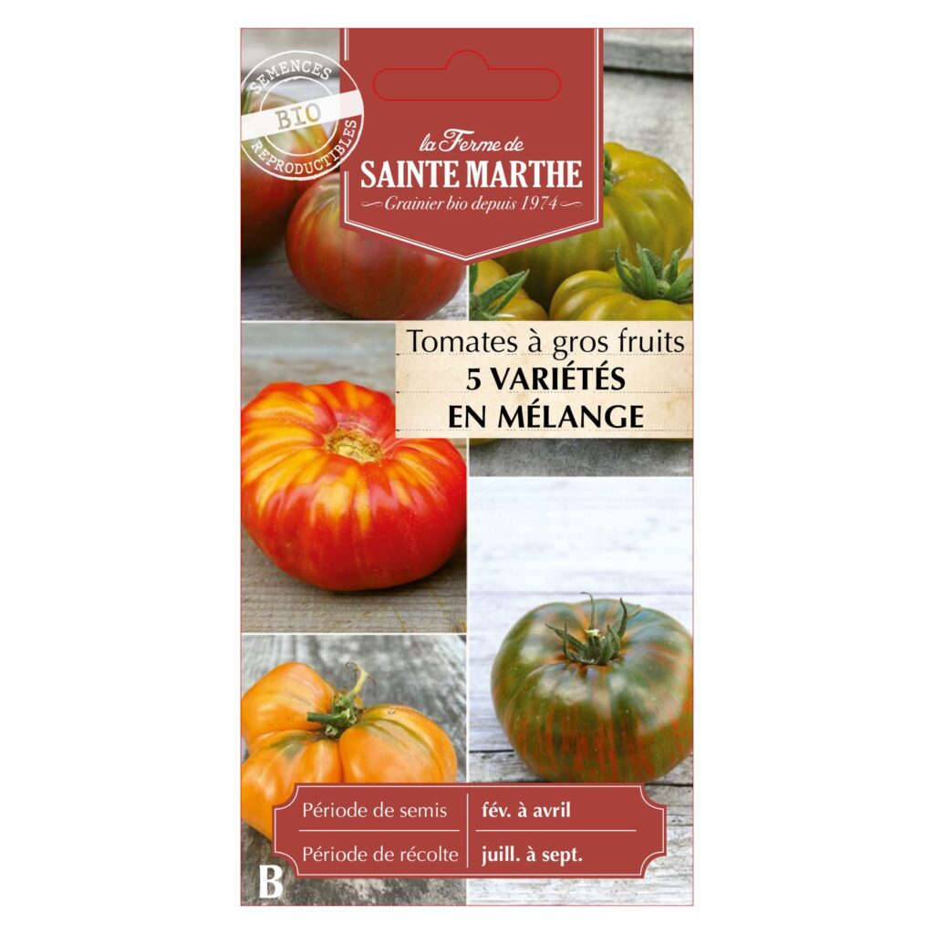 Tomates à Gros Fruits en Mélange - 30 graines bio — sachet recto