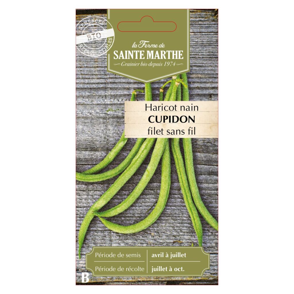 HARICOT NAIN Cupidon - env.35 graines bio — sachet recto