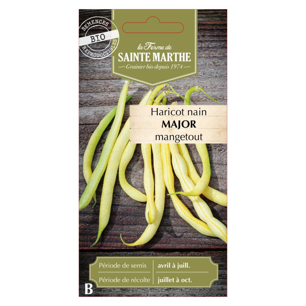 Haricot Nain Major - env.38 graines bio — sachet recto