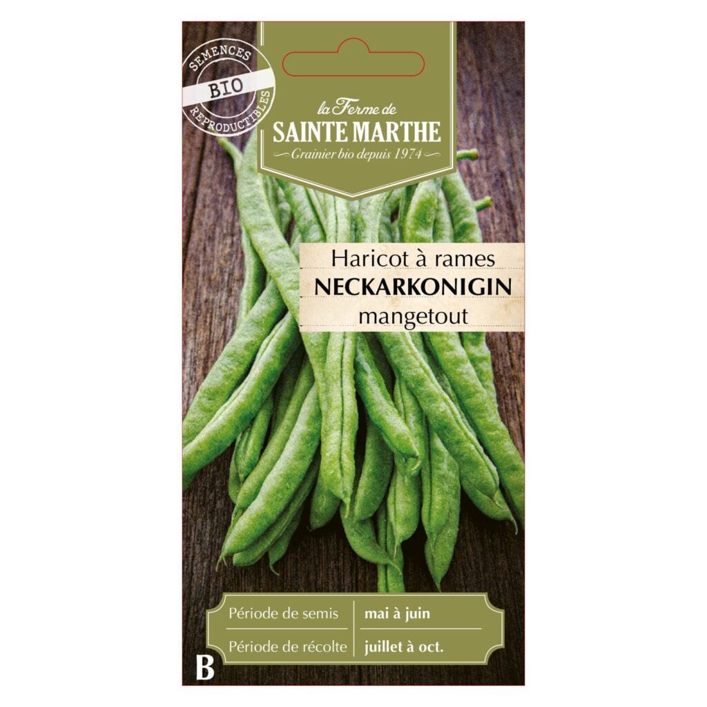 HARICOT À RAMES Neckarkonigin - env.25 graines bio — sachet recto