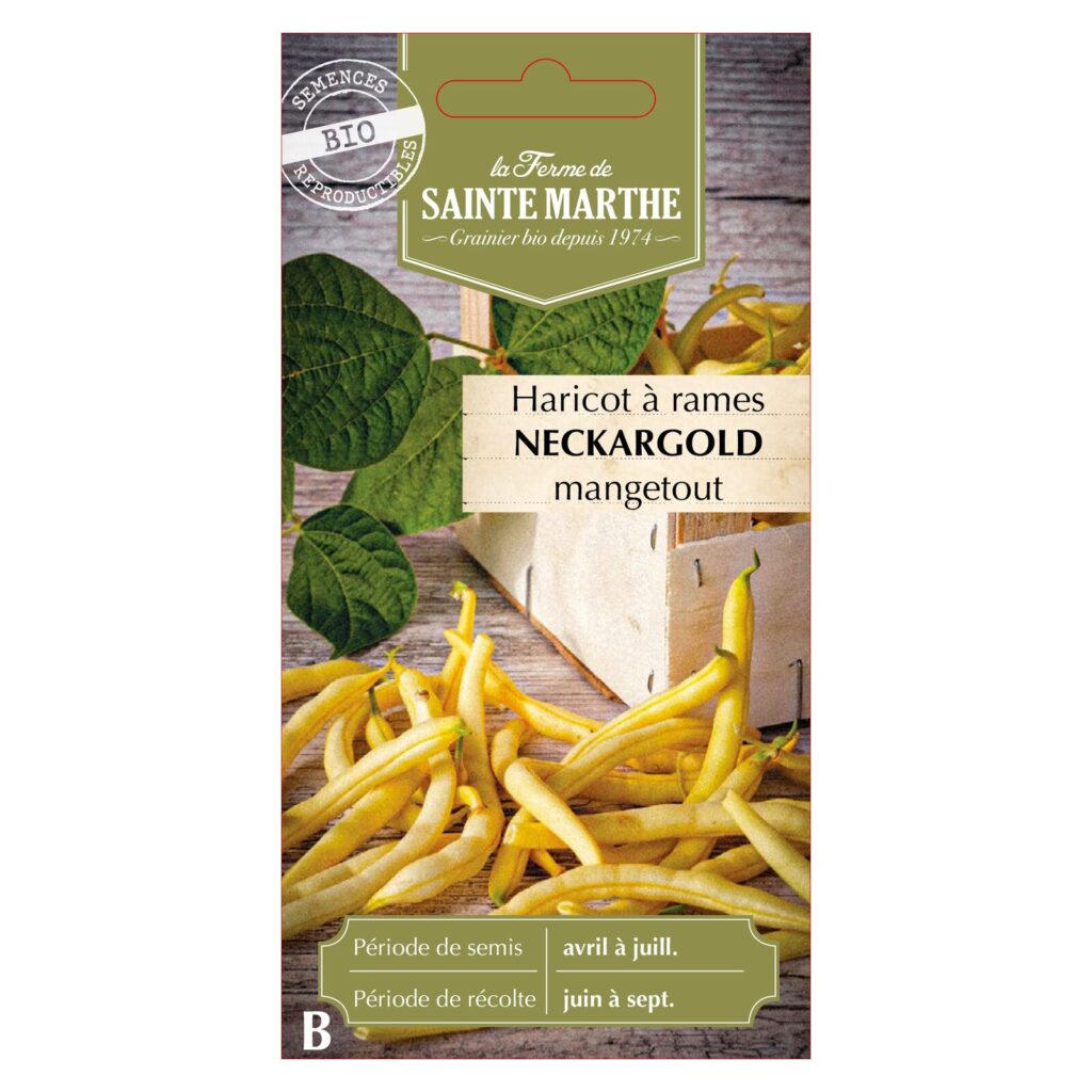 HARICOT À RAMES Neckargold - env.25 graines - Variété Beurre Grimpante Mi-précoce bio — sachet recto