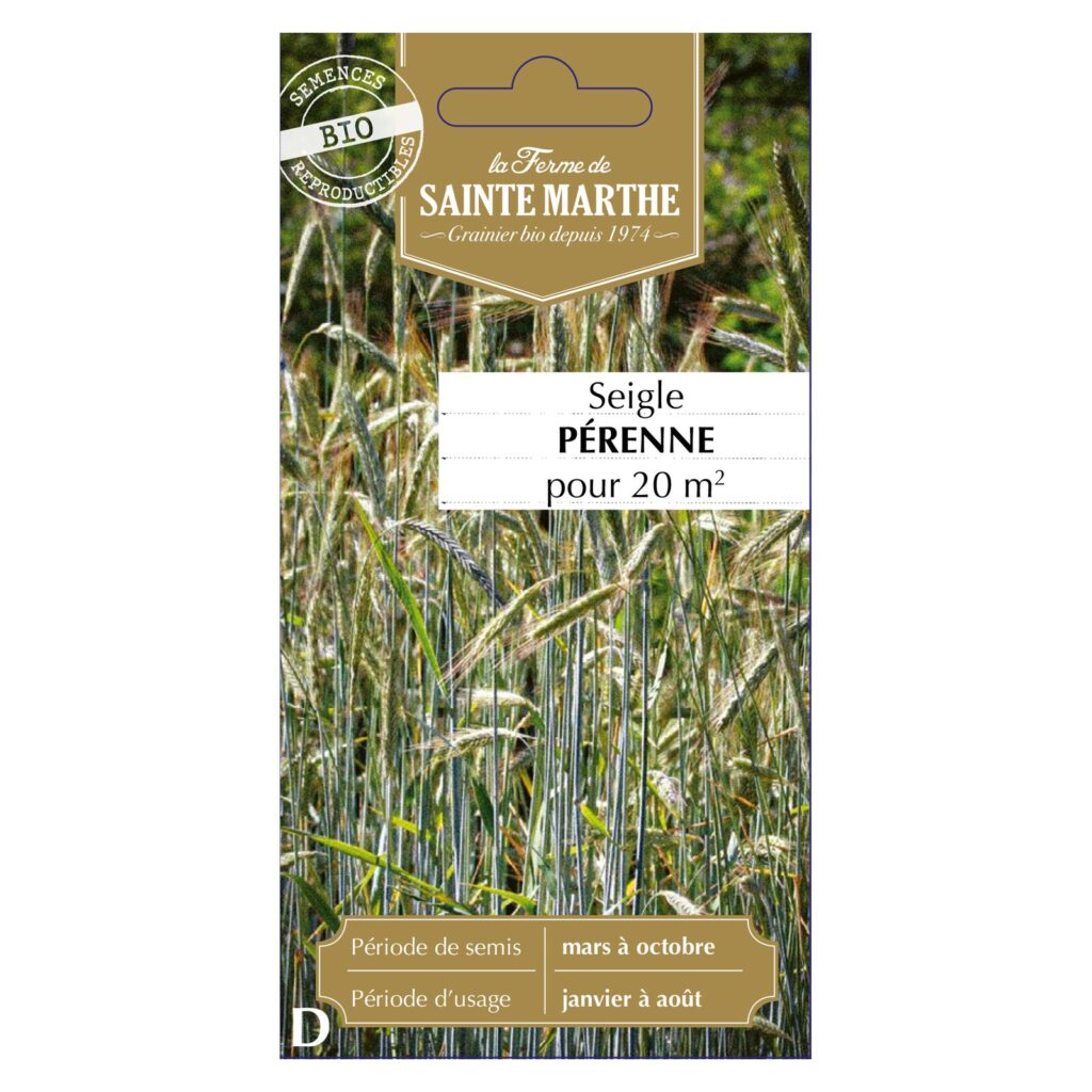 Seigle Perenne Vivace pour 5 à 10 m² - 150 graines bio — sachet recto