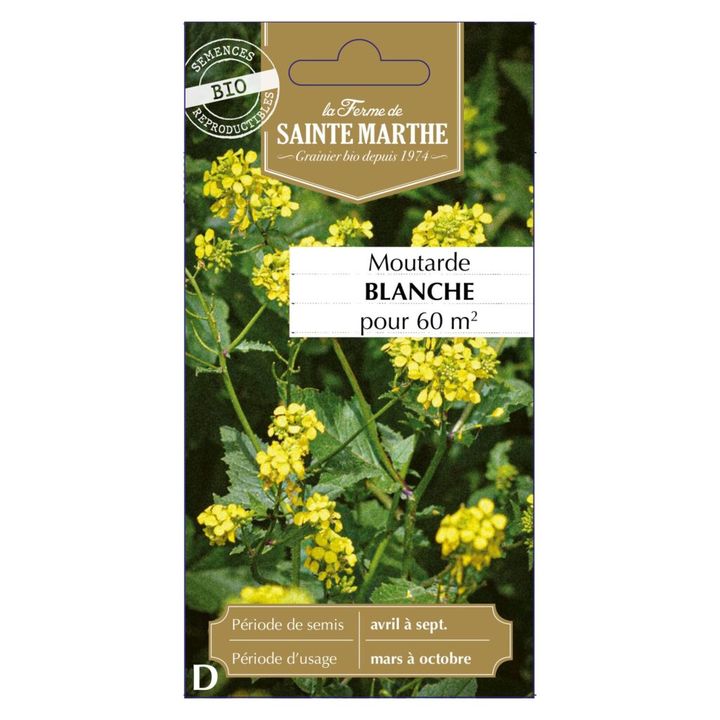 Moutarde Blanche Annuelle pour 50 à 75 m² - 150 graines bio — sachet recto