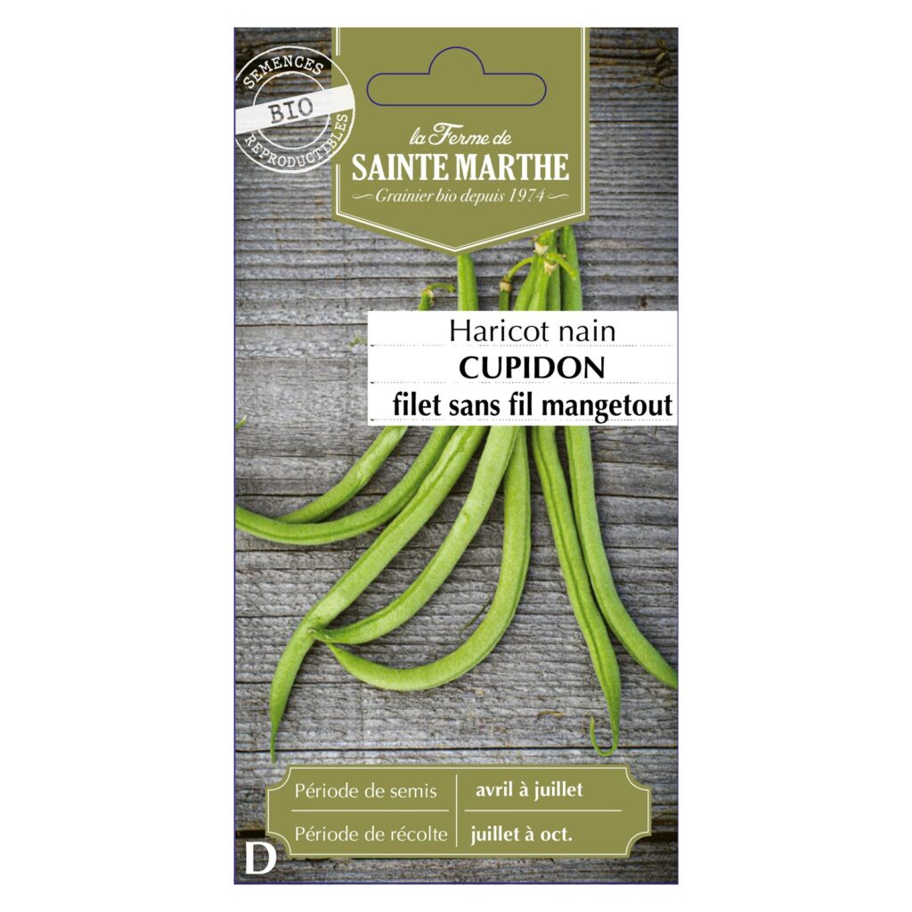 HARICOT NAIN Cupidon - env.325 graines bio — sachet recto
