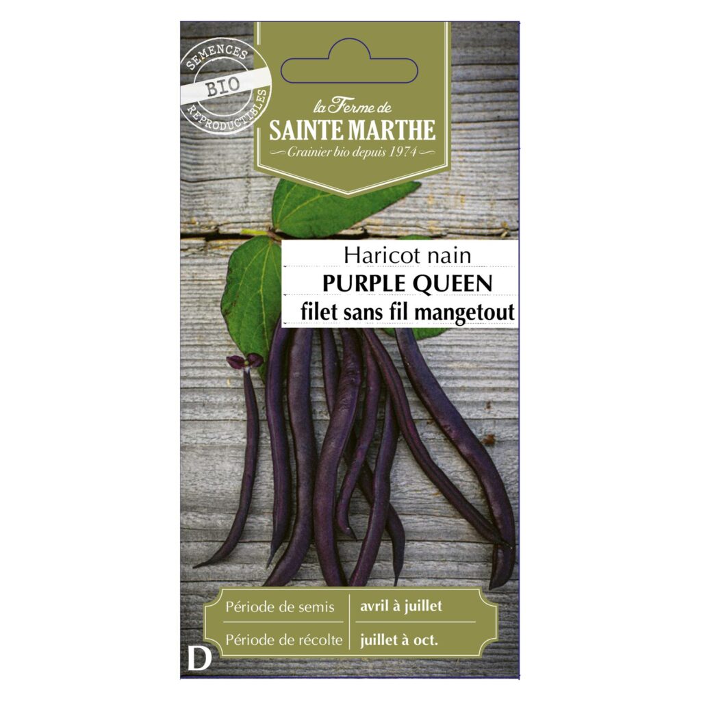 HARICOT NAIN Purple Queen - env.350 graines bio — sachet recto