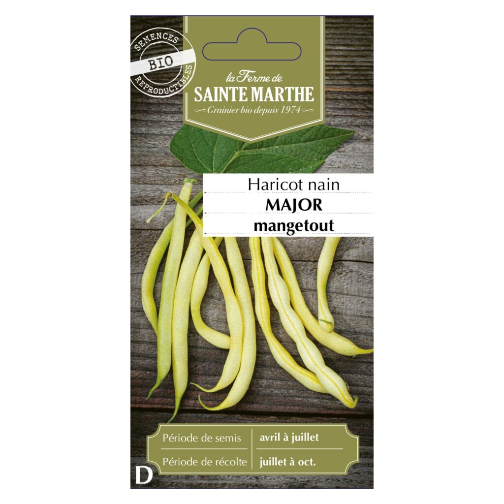 Haricot Nain Major (beurre) - env.280 graines bio — sachet recto