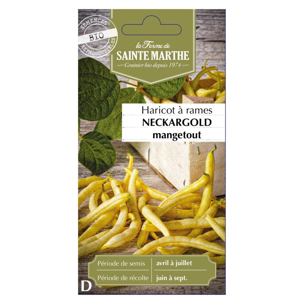 HARICOT À RAMES Neckargold (beurre) - env.190 graines bio — sachet recto