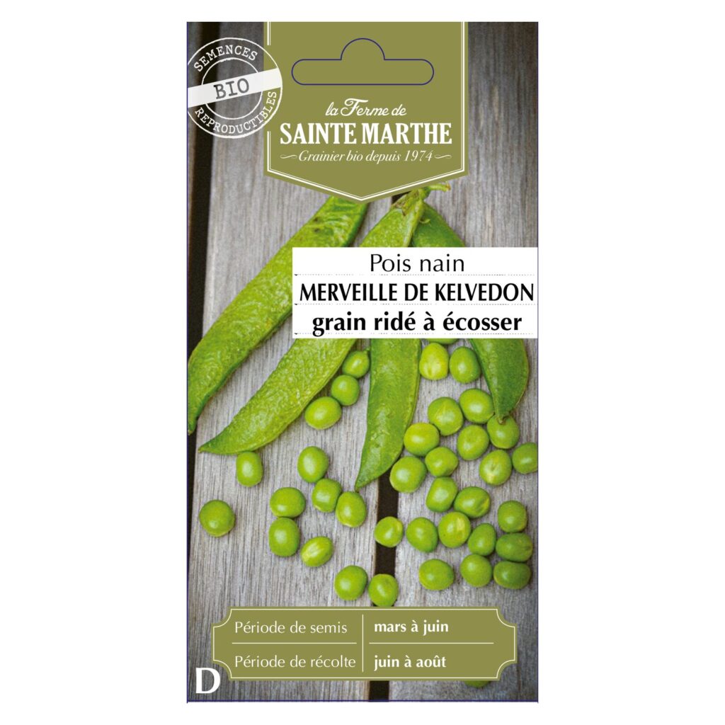 POIS NAIN Merveille de Kelvedon Grain Ridé à Écosser - env.310 graines bio — sachet recto