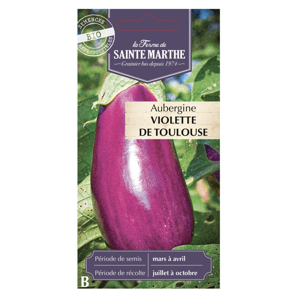 AUBERGINE Violette de Toulouse - 30 graines bio — sachet recto
