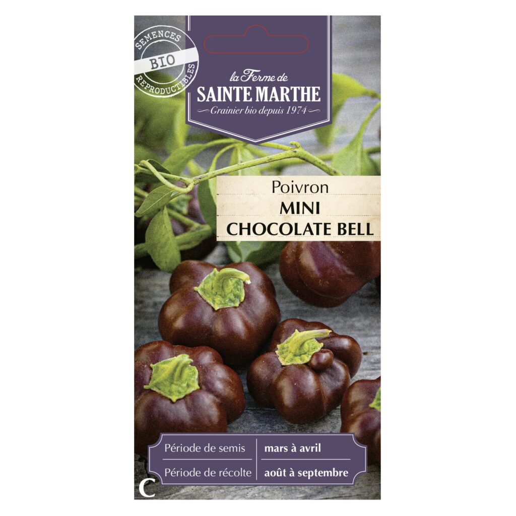 POIVRON Mini chocolate bell - 30 graines bio — sachet recto