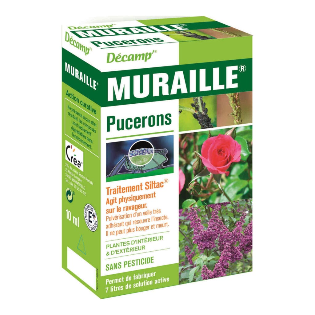 MURAILLE PUCERONS