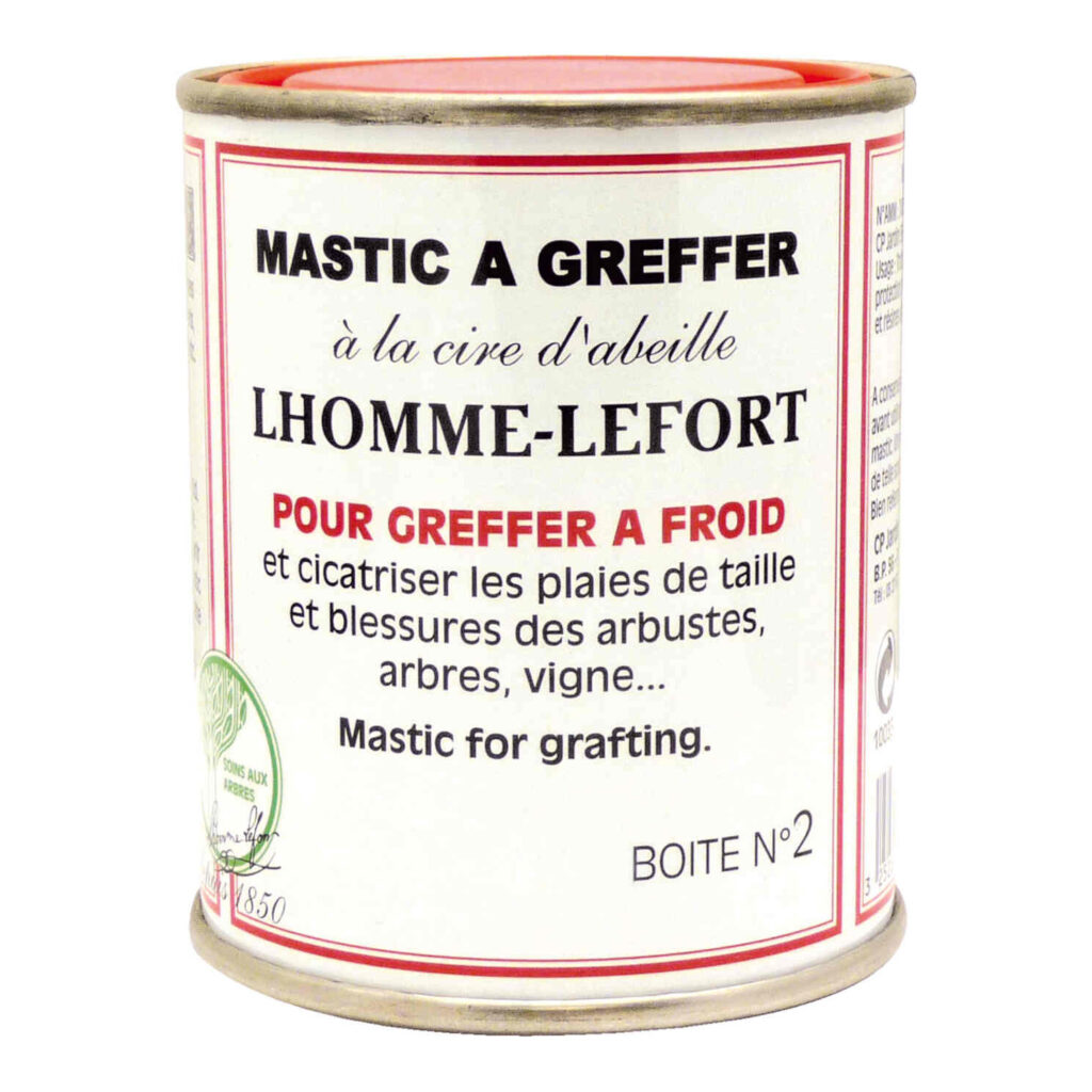 Mastic Greffer cicatrisation
