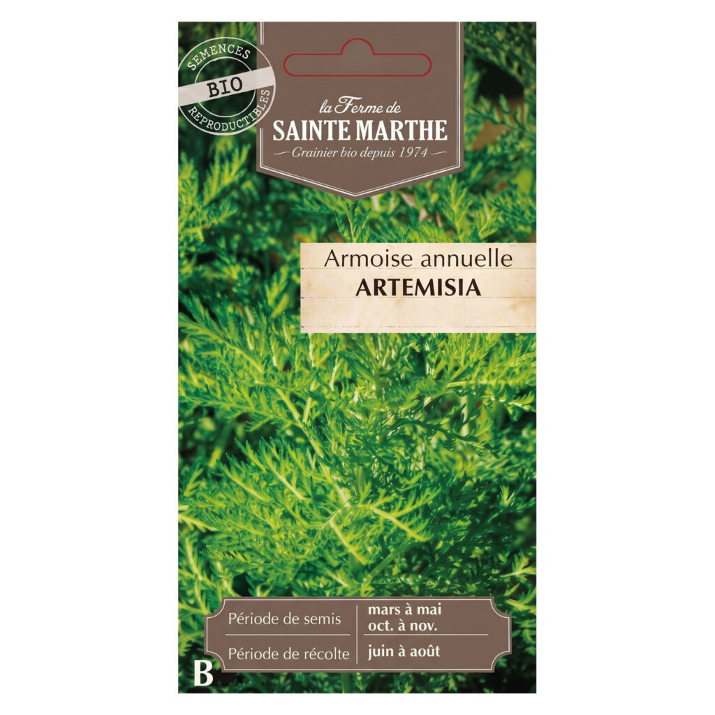 Armoise annuelle Artemisia - 1000 graines Bio