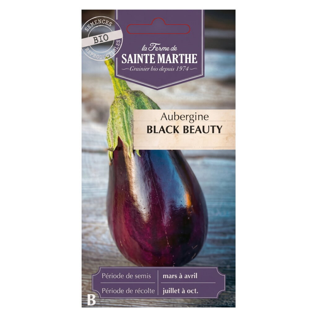 Aubergine Black Beauty – 30 graines bio
