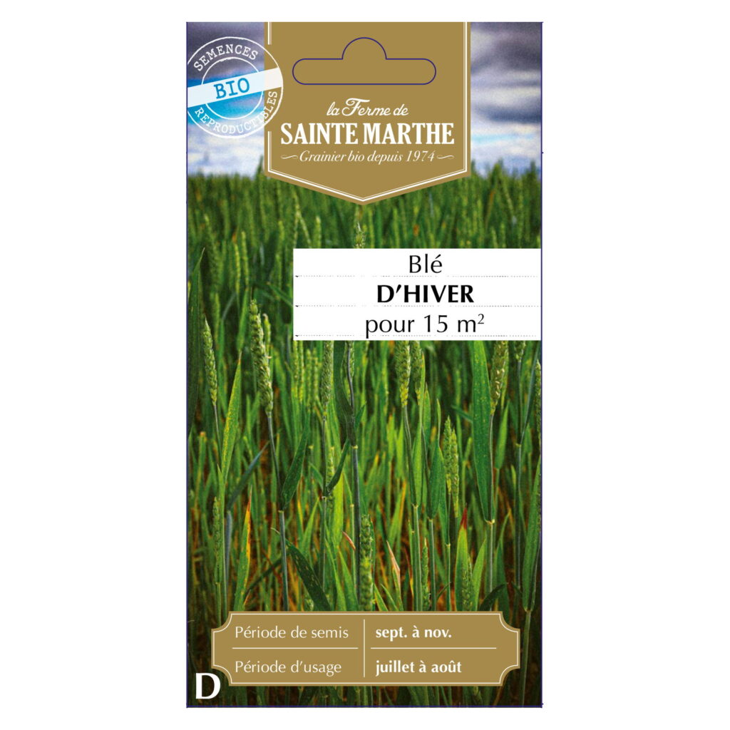 Blé d'hiver pour 15 m² Bio