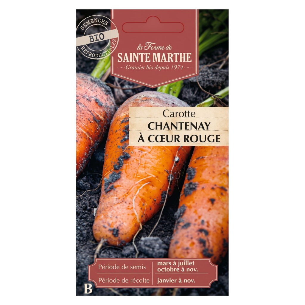 Carotte Chantenay à cœur rouge – 1000 graines bio