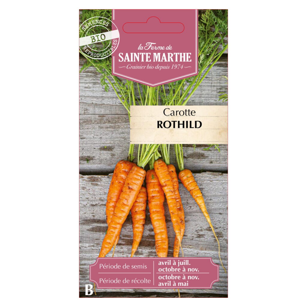 Carotte Rothild - 1000 graines Bio