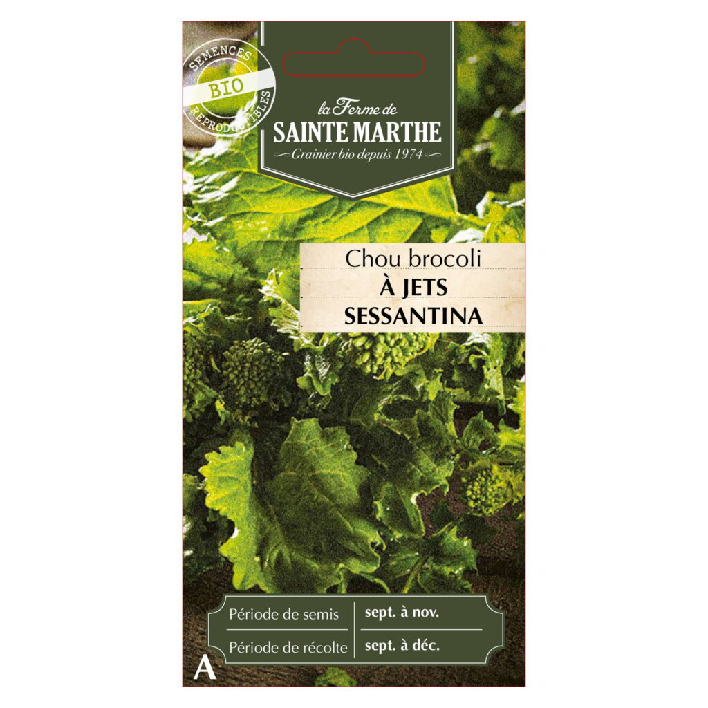 Chou Brocoli à jets Sessantina - 50 graines Bio