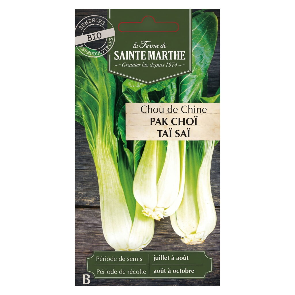 Chou de Chine Pak Choï Taï Saï – 250 graines bio