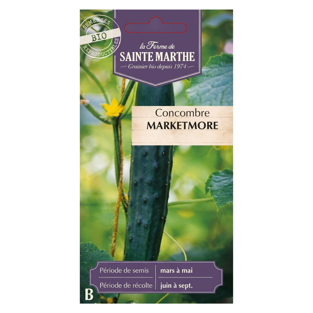 Concombre Marketmore – 15 graines bio
