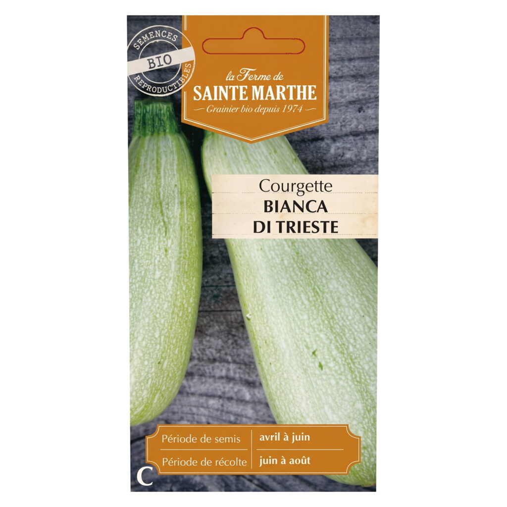 Courgette Bianca di Trieste – 15 graines bio