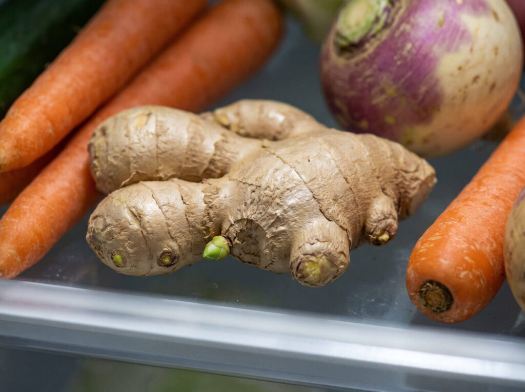 Rhizome de gingembre avec un bourgeon vert dans le bac à légumes
