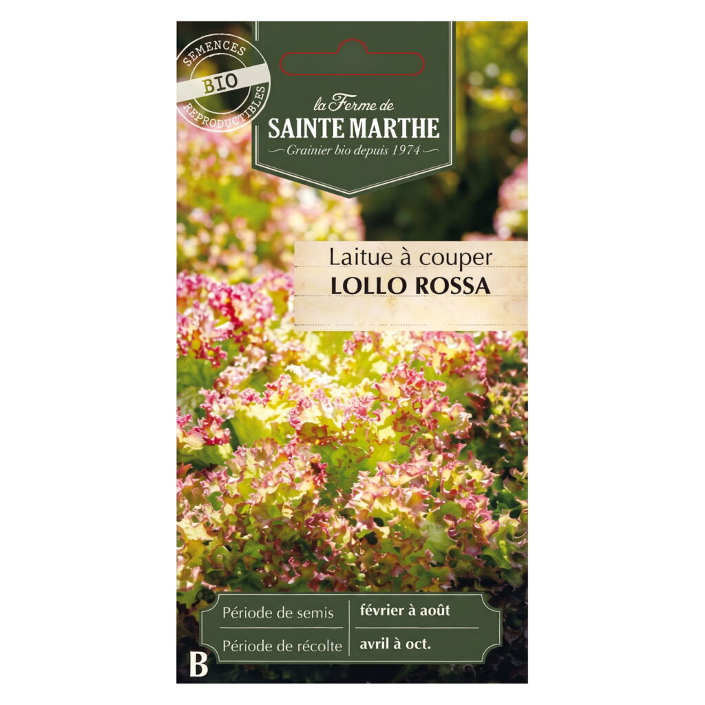 Laitue à couper Lollo Rossa – 500 graines bio