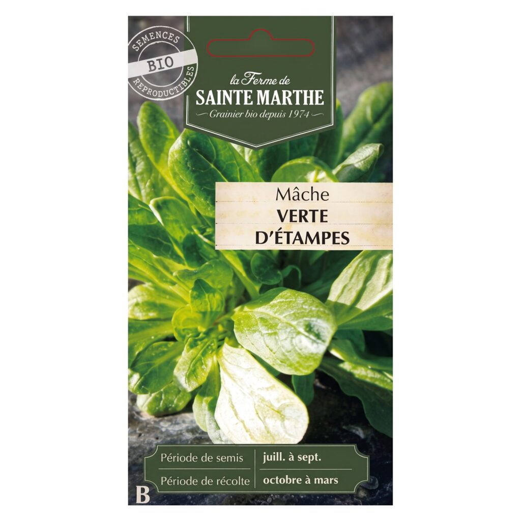 Mâche Verte d’Étampes – 500 graines bio
