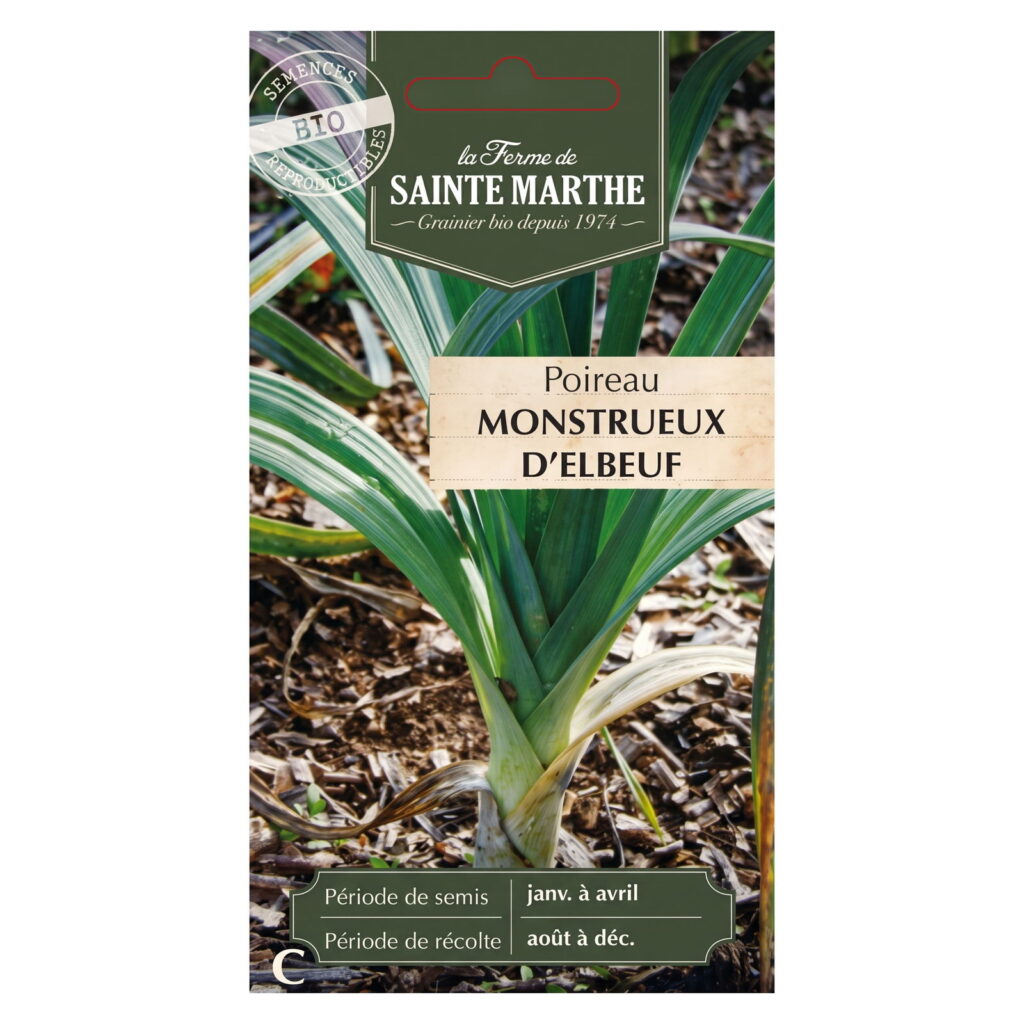 Poireau Monstrueux d’Elbeuf – 500 graines bio