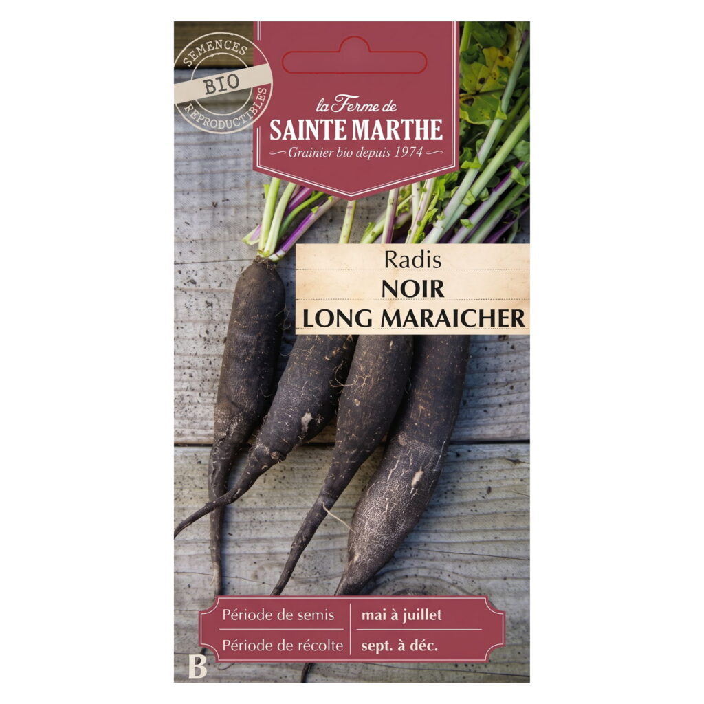 Radis Noir Long Maraicher – 300 graines bio