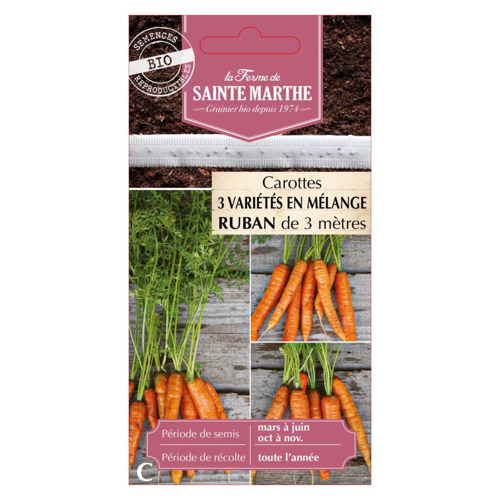 Ruban Carottes en mélange Touchon, de Colmar à Cœur Rouge, Nantaise - 3 m Bio